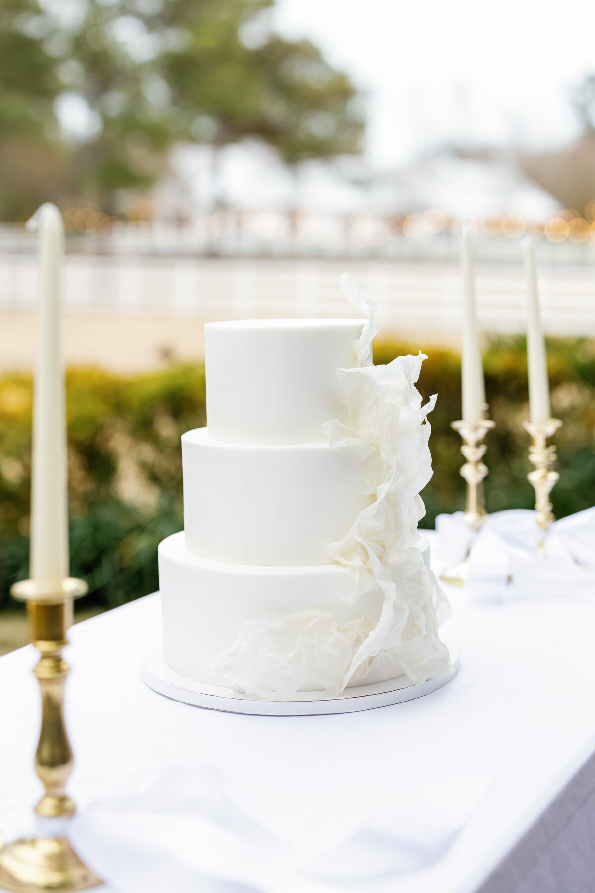 Wilmington Wedding Cake