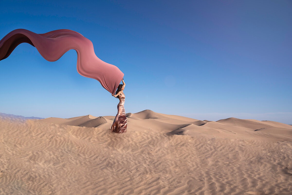 Woman in long gown is standing in the desert holding a sheet above her head. The sheet is blowing in the wind. Caputred by Liza Nicole Photography.