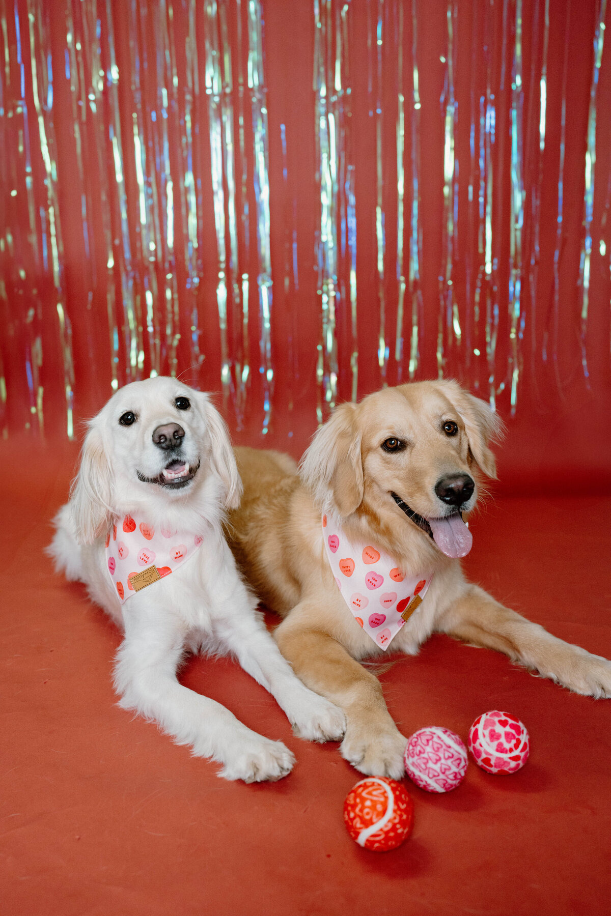 hollyanddaisy_valentinesday2025shoot_homestudio-23