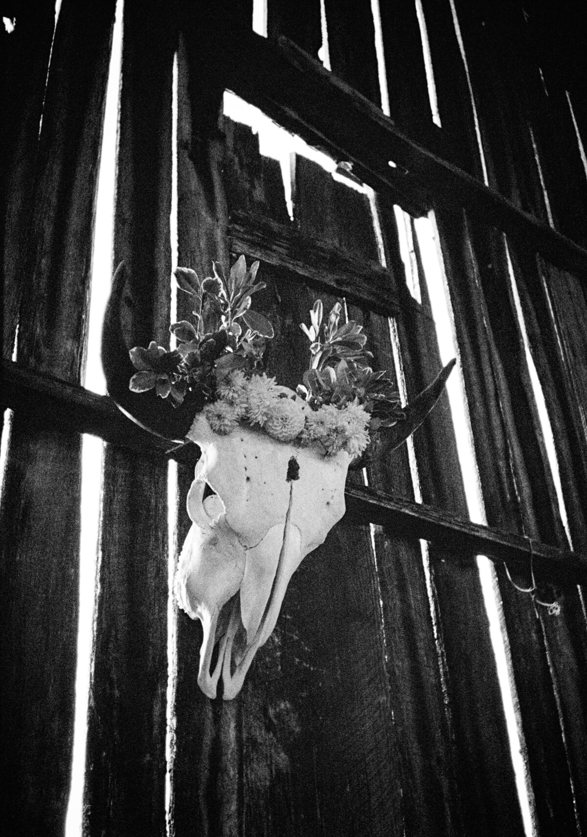 Louisville-Kentucky-Film-Photographer-42