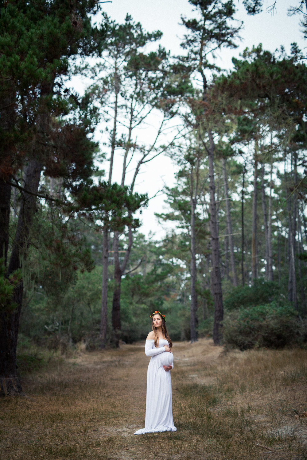 Moody forest maternity photos in Monterey