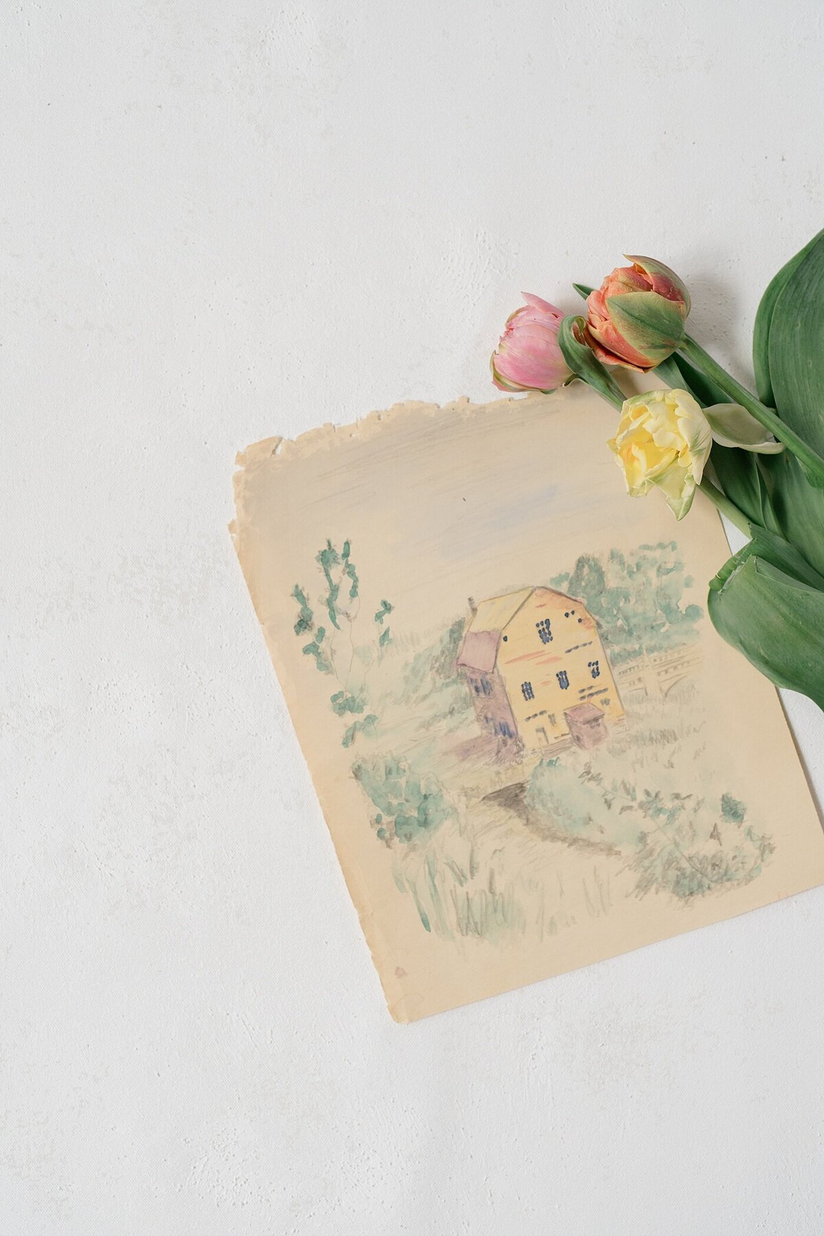 Columbus photograph er documents a watercolor image that is hung in a florist shop