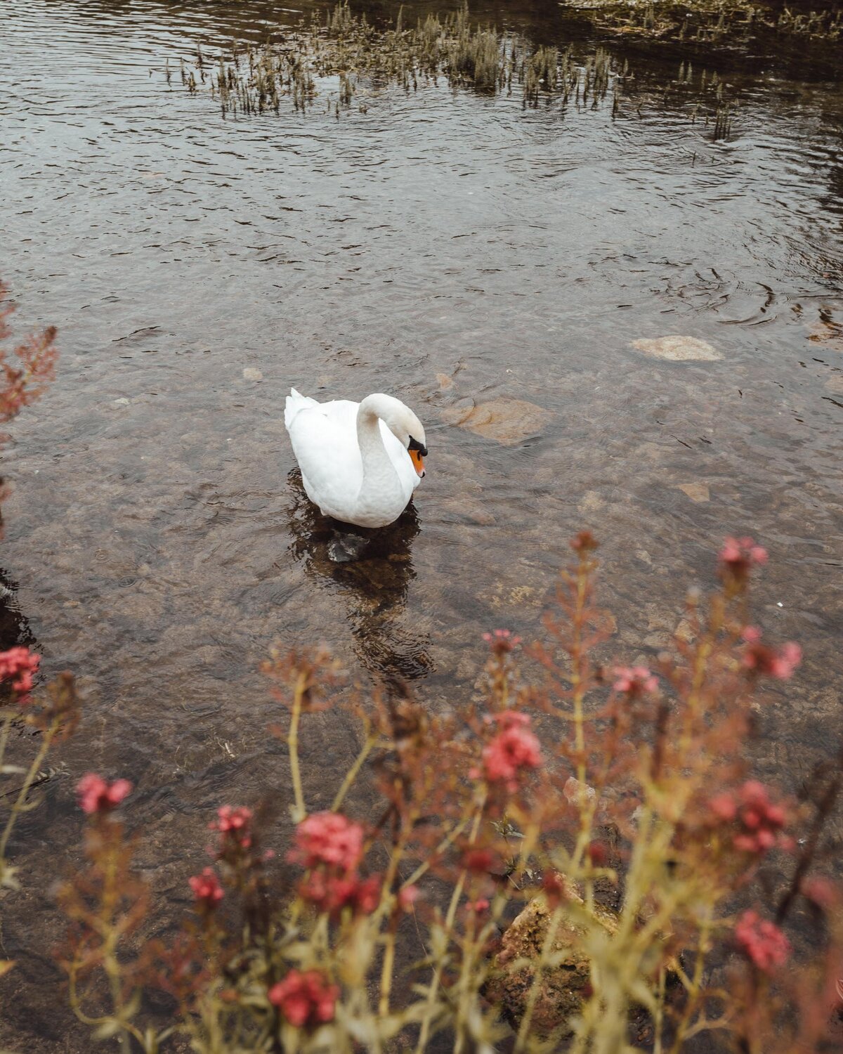 Cotswolds-England-Find-Us-Lost-09249