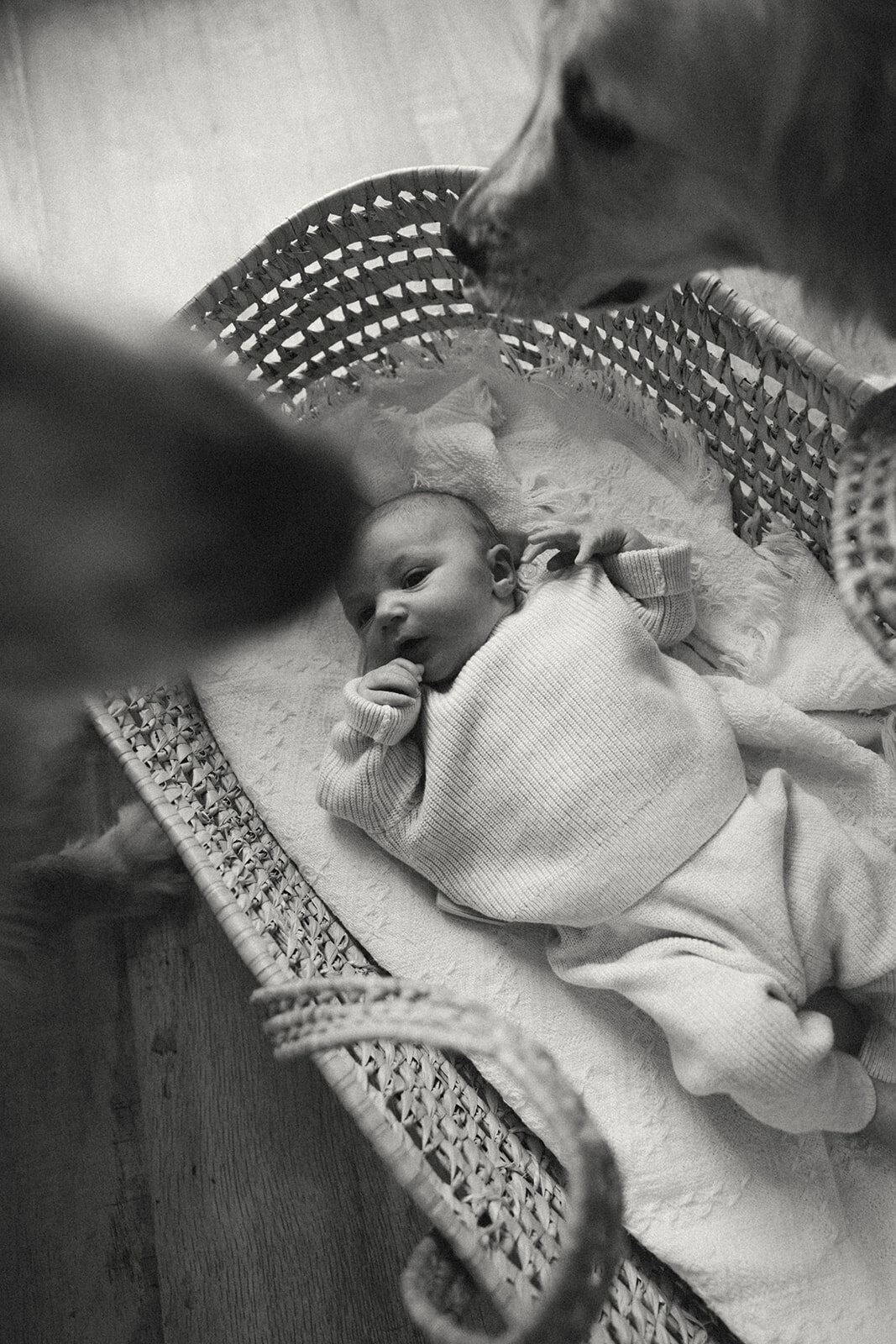 jacksonville-studio-newborn-session-7_websize