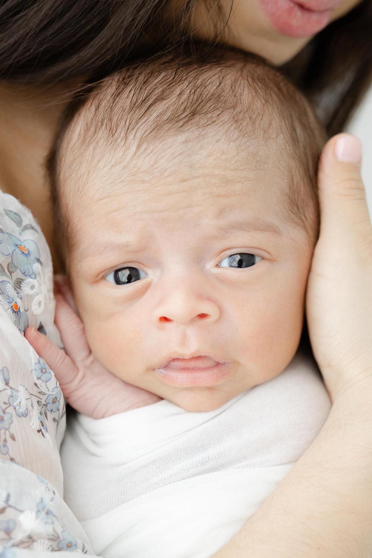 Northern-Virginia-newborn-photographer-stephanie-honikel-photography010