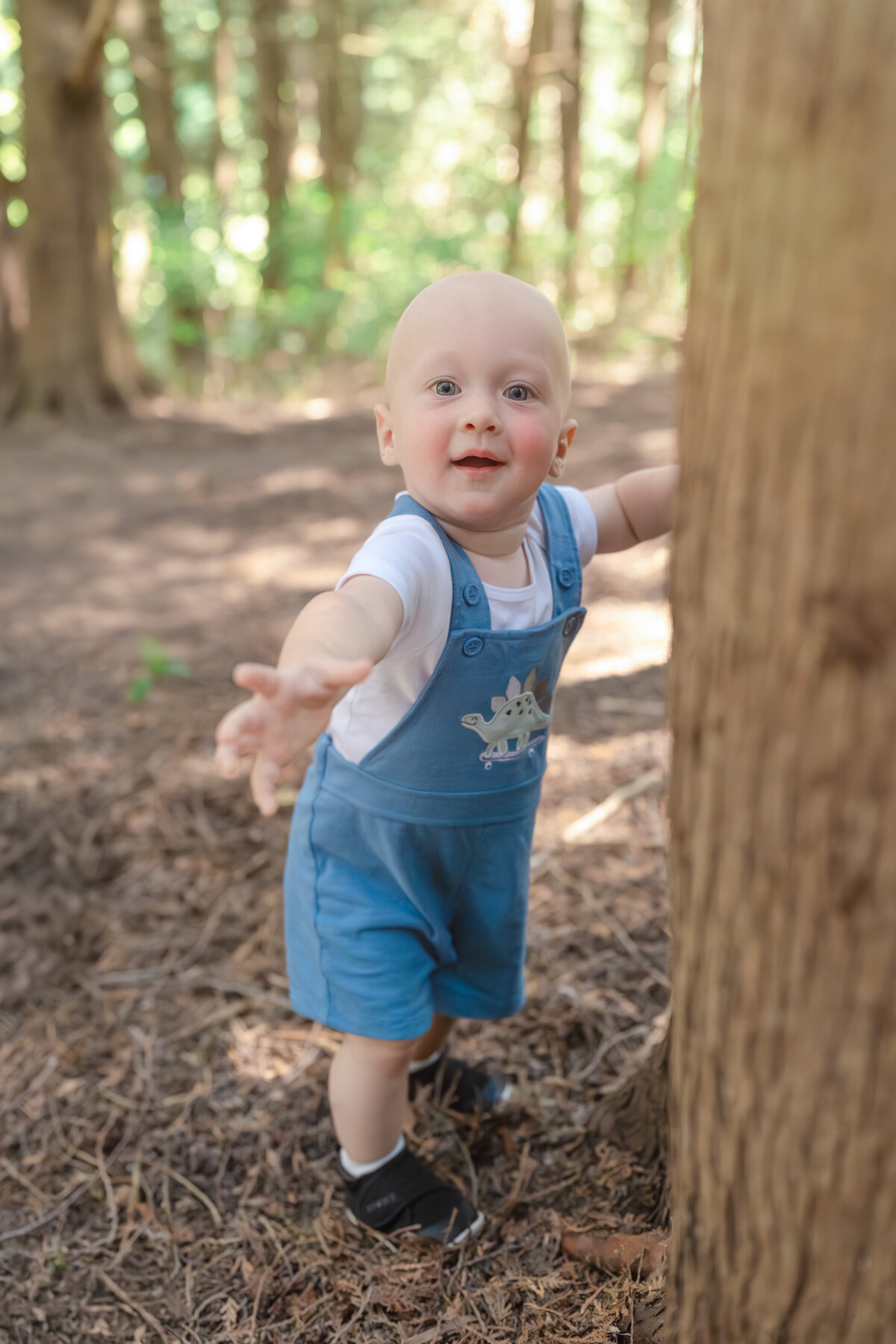 Barrie Family Photographer
