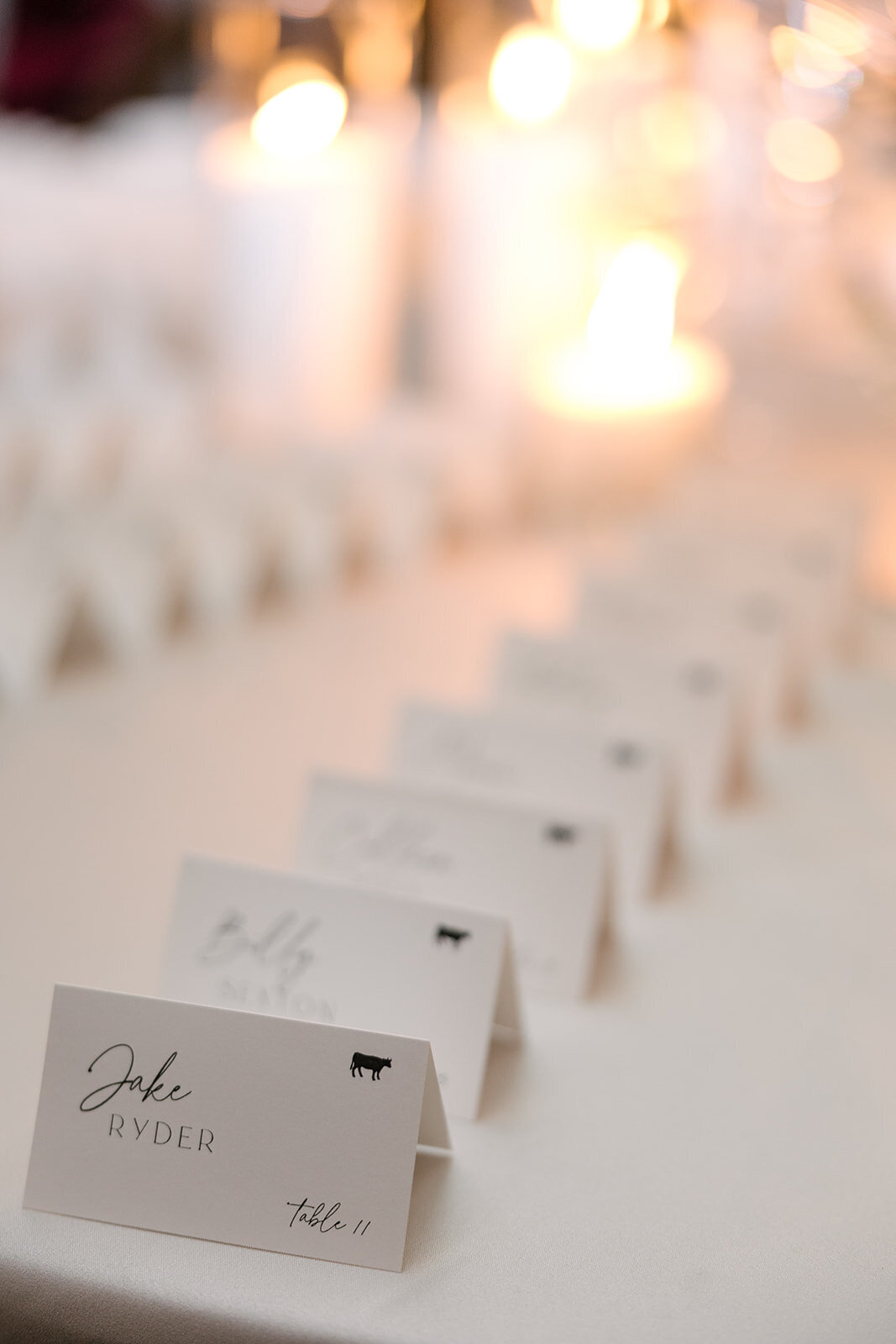 modern-escort-cards-at-boston-park-plaza
