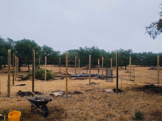 image000000_22