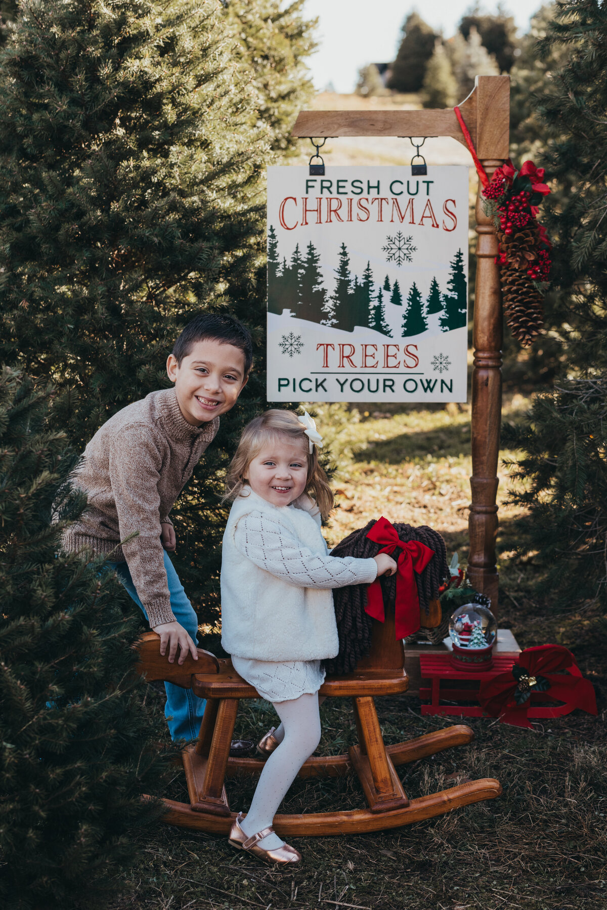 Love-To-Lens-Photography-Christmas-Tree-Farm-Minis-Hudson-Valley-NY (2)