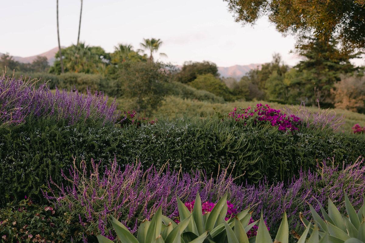 116_Lauren_Kyle_Montecito Club_Santa Barbara_Wedding_Alison Rose Events_Wedding Planner