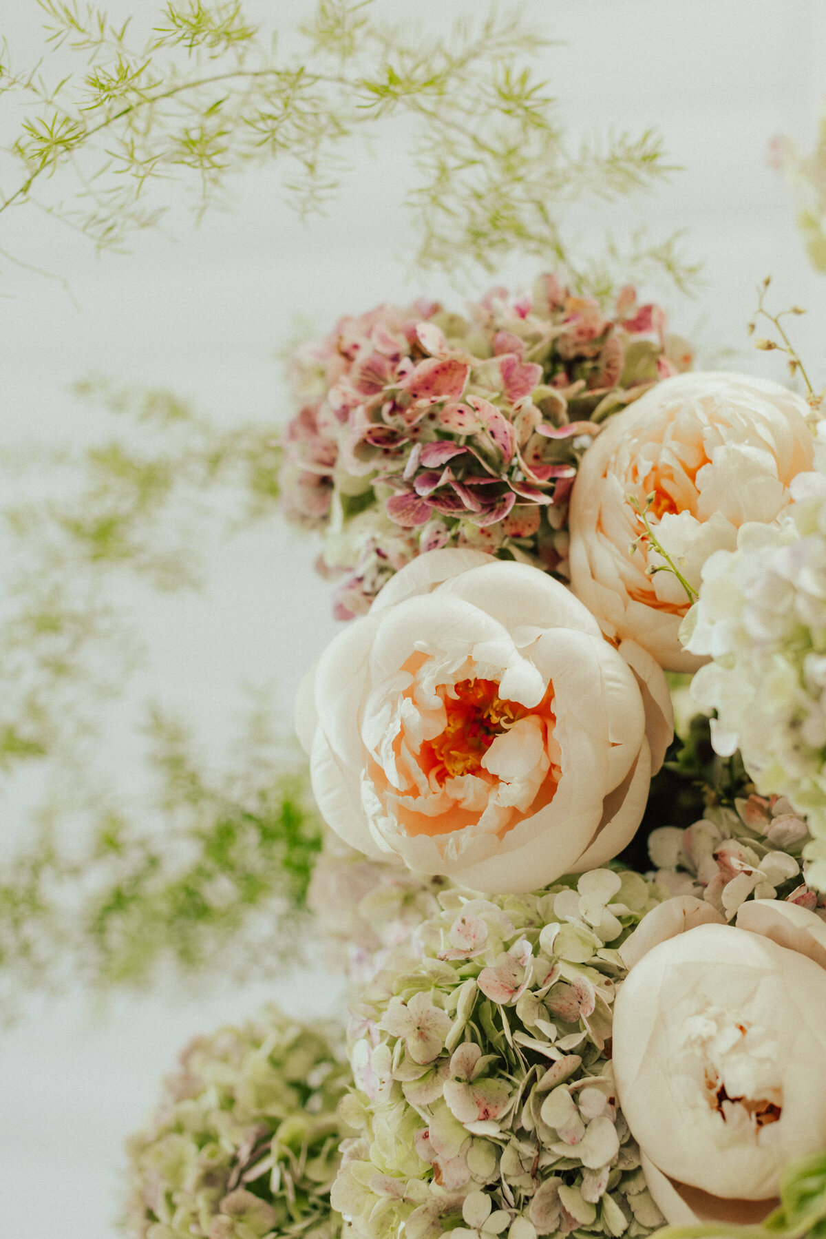 BrogenJessupPhotography-19