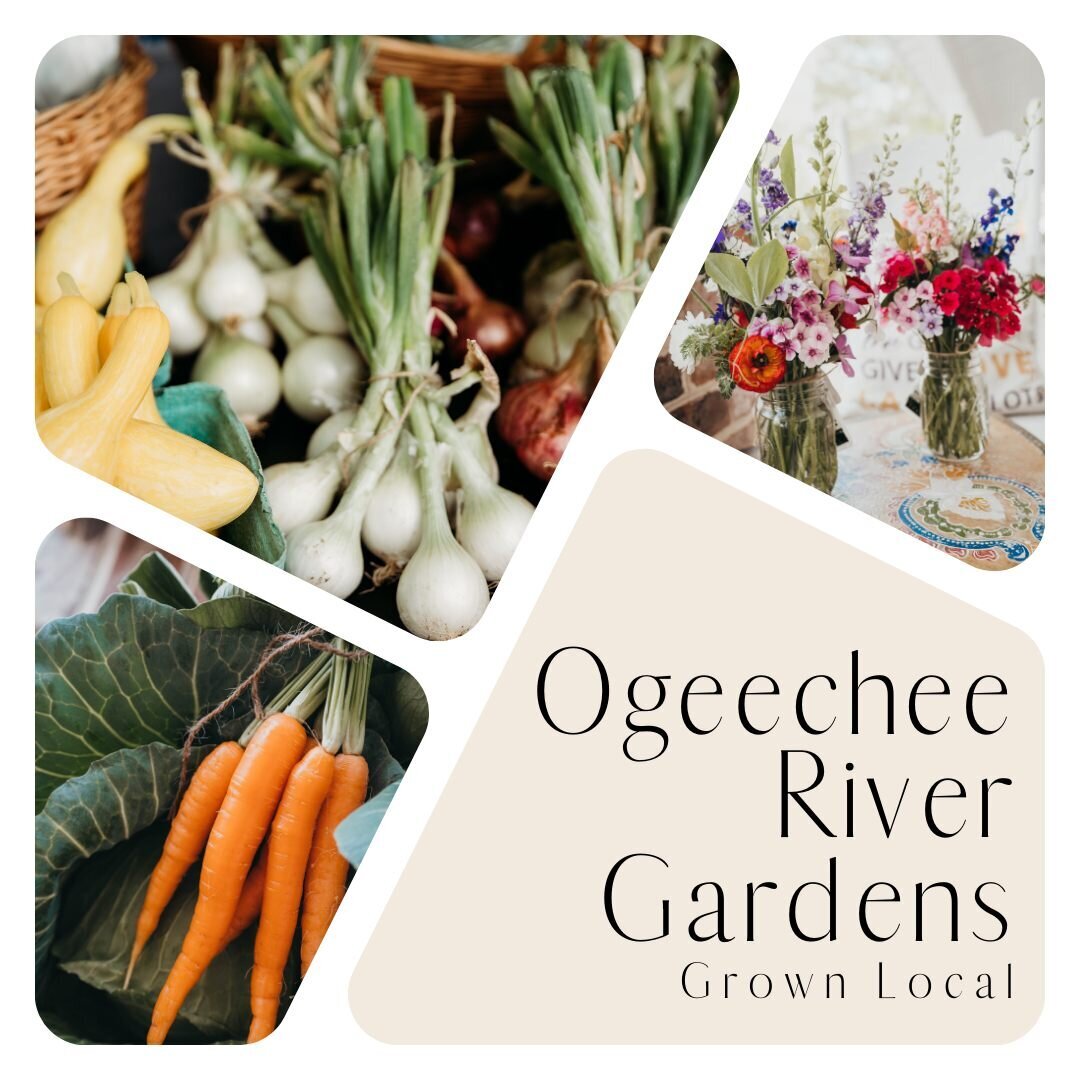 Cue The Content Branding and socials