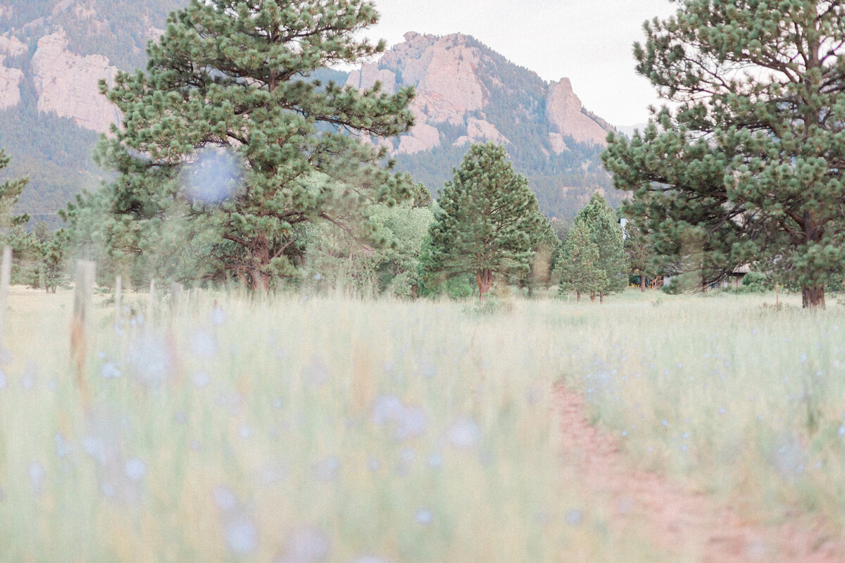 Sunrise_Engagement_Session_Boulder_Coulter_Lgbtq_by_Colorado_Wedding_Photographer_Diana_Coulter-10