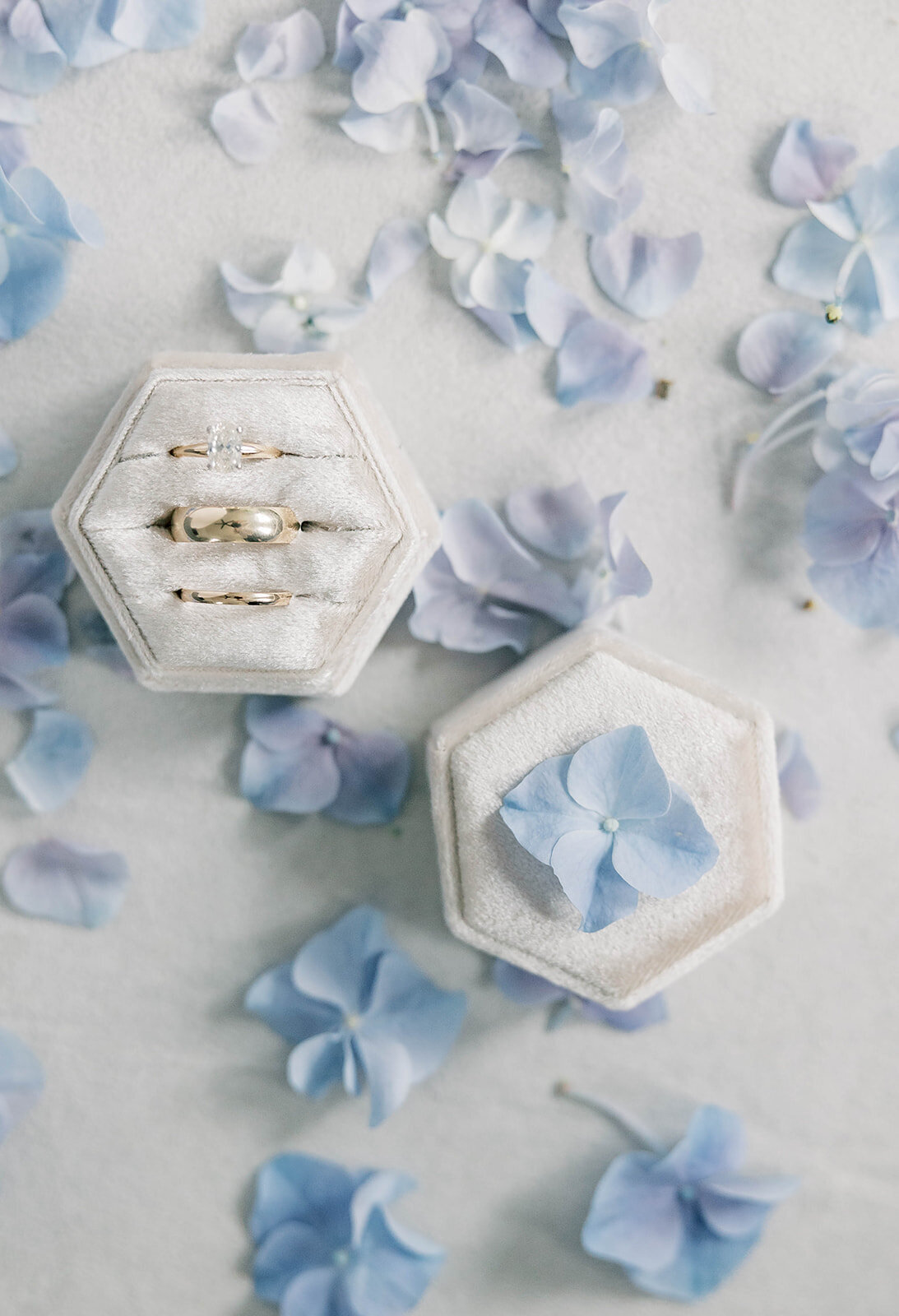 SUSANNA AND PAUL-1124
