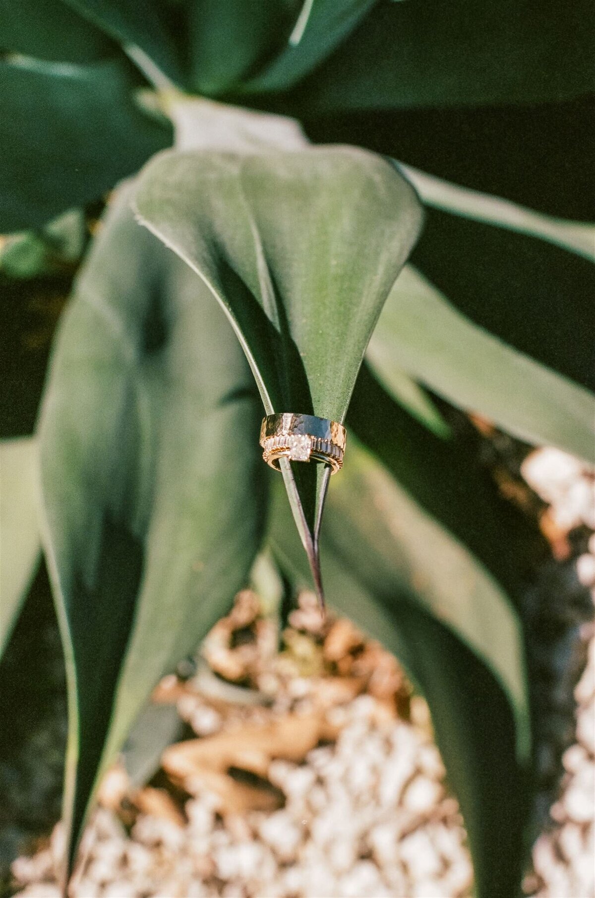 prospect-house-wedding-film-leah-thomason-photography-9