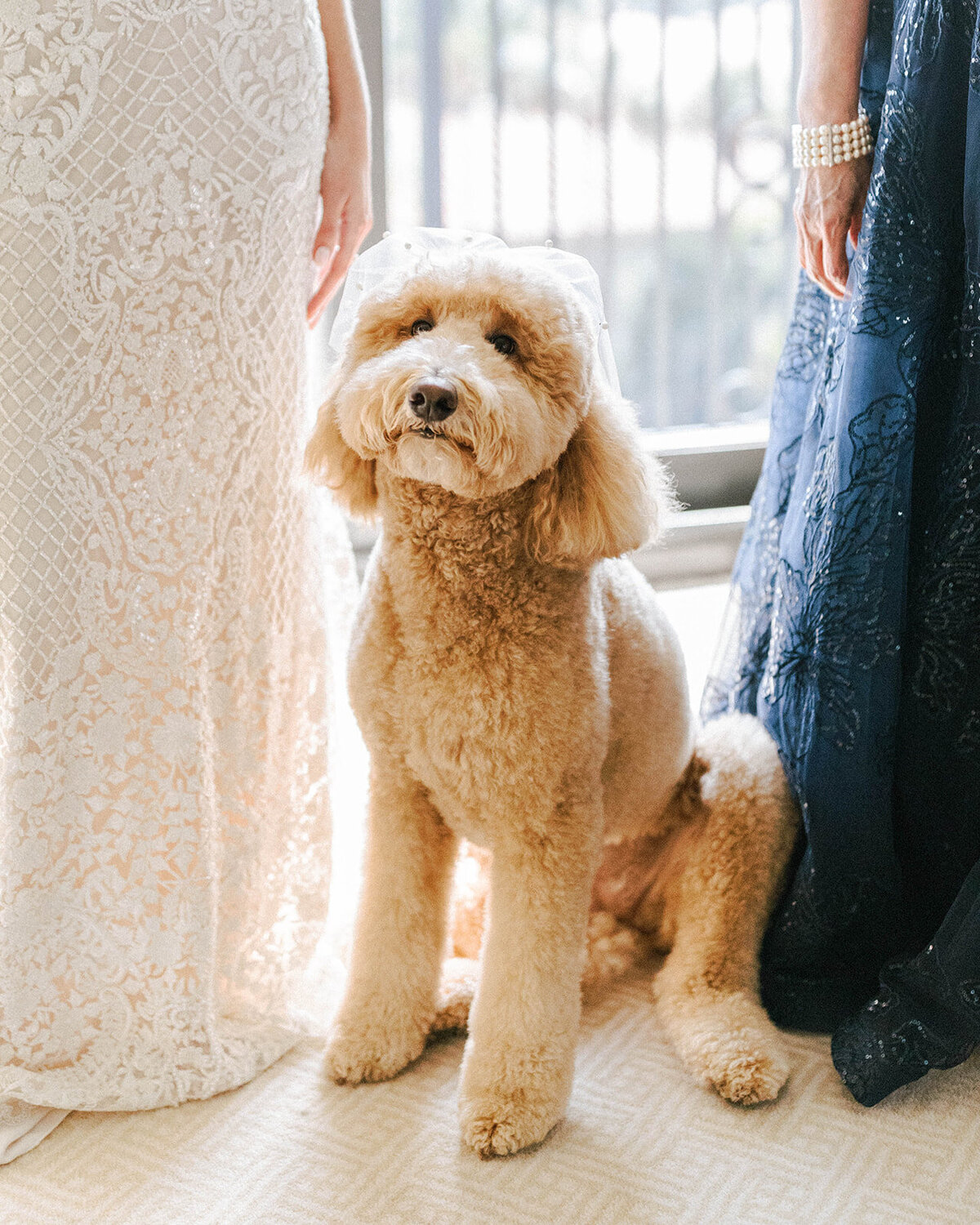Jon & Angie -  Highlights - The Breakers - Palm Beach_ Florida - Chrissy O_Neill & Co. - South Florida Wedding Photographer-9