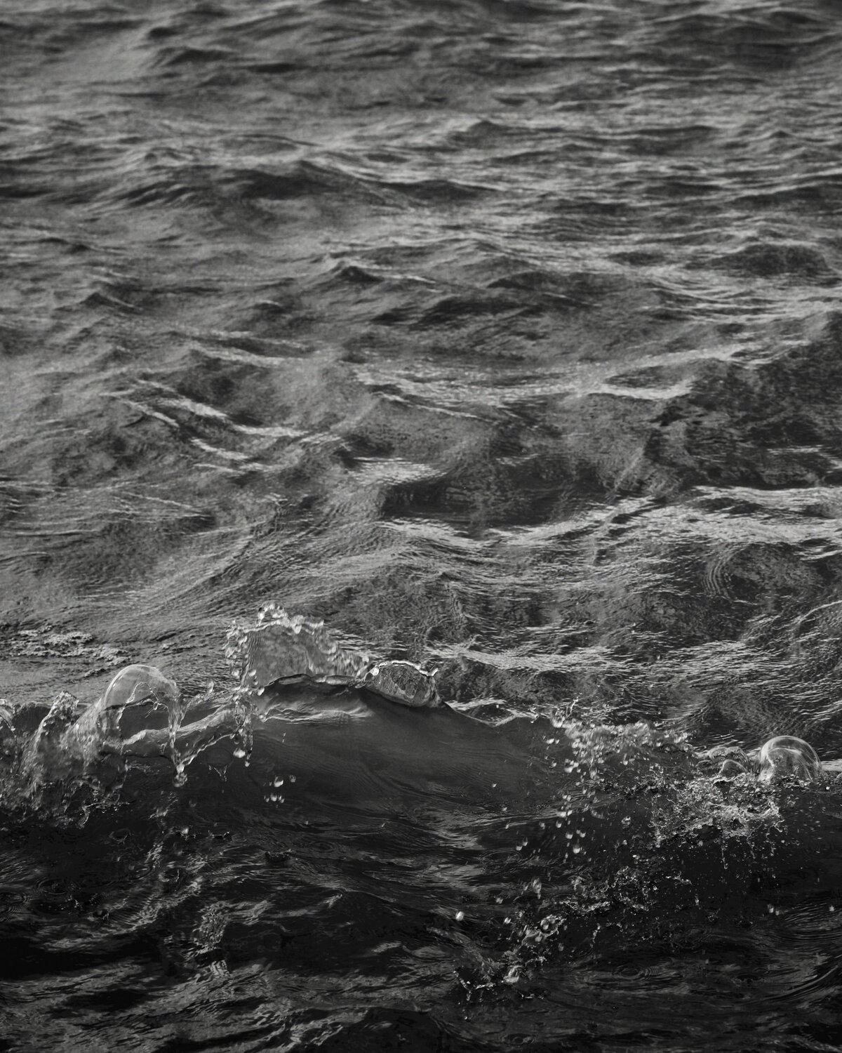 tamara-bitter-wrgqY7GUx6E-unsplash