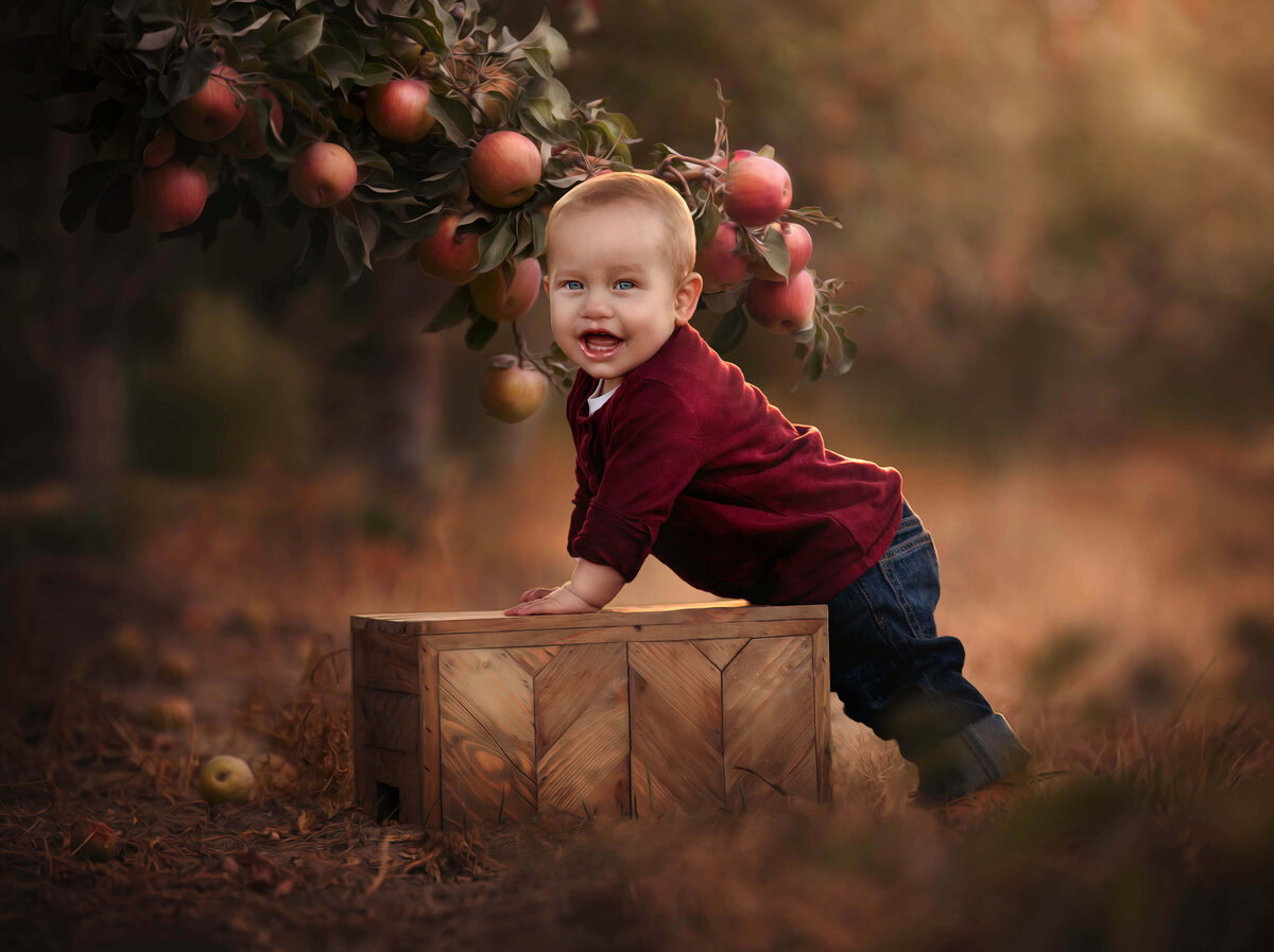 Boy standing against crate and smiling in apple orchard