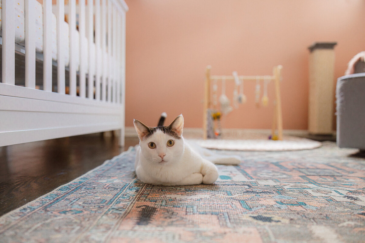 Kansas_City_newborn_photographer012324_3