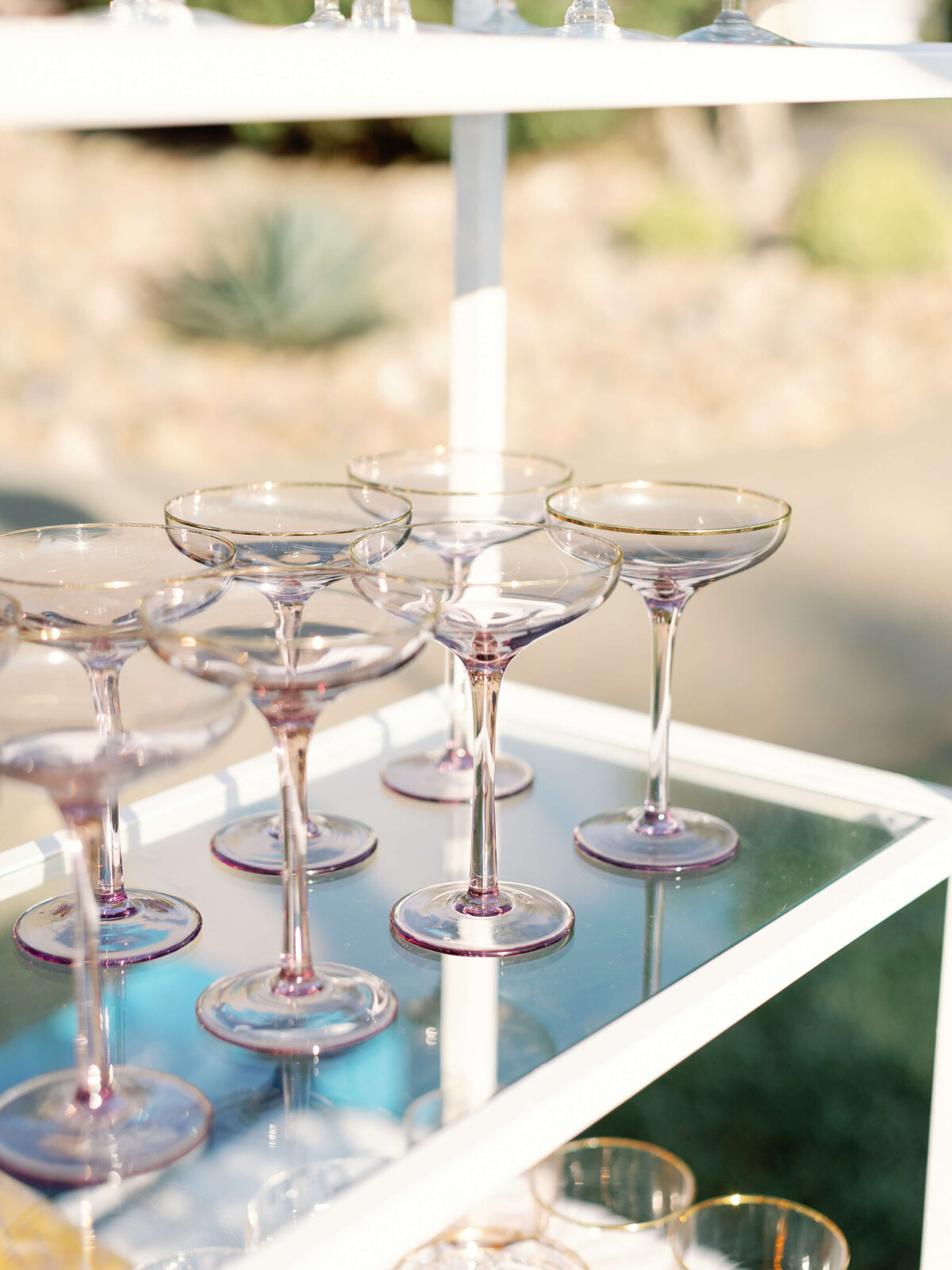 DianeSoteroPhotography_DestinationWedding_SanDiego_California_0944