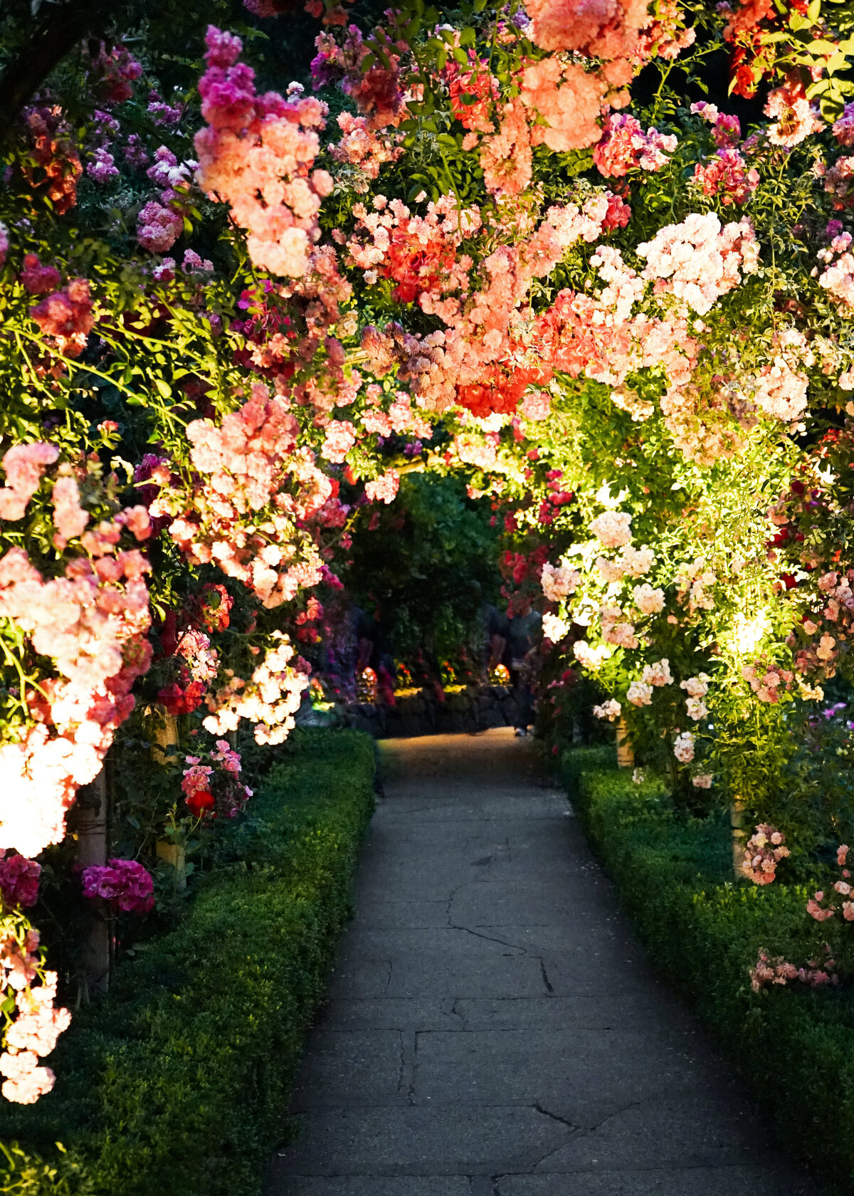 A large floral tunnel leads down a stone path, lit up at night.