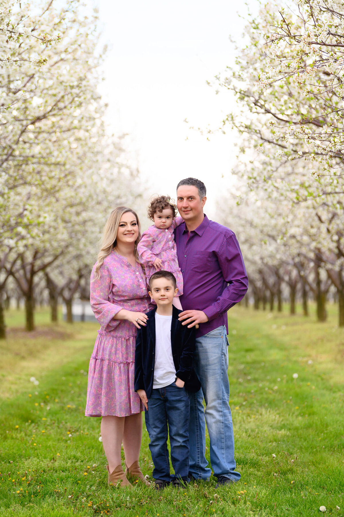 Mom and dad with their son and daughter wearing purple in the white cherry blossom family photos in Burlington, ON