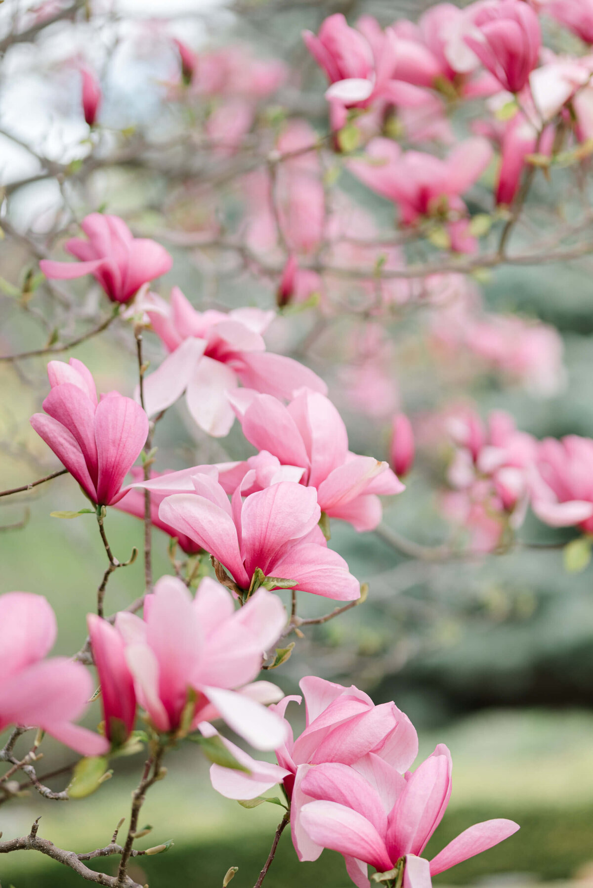 Kelowna-wedding-photographer-54