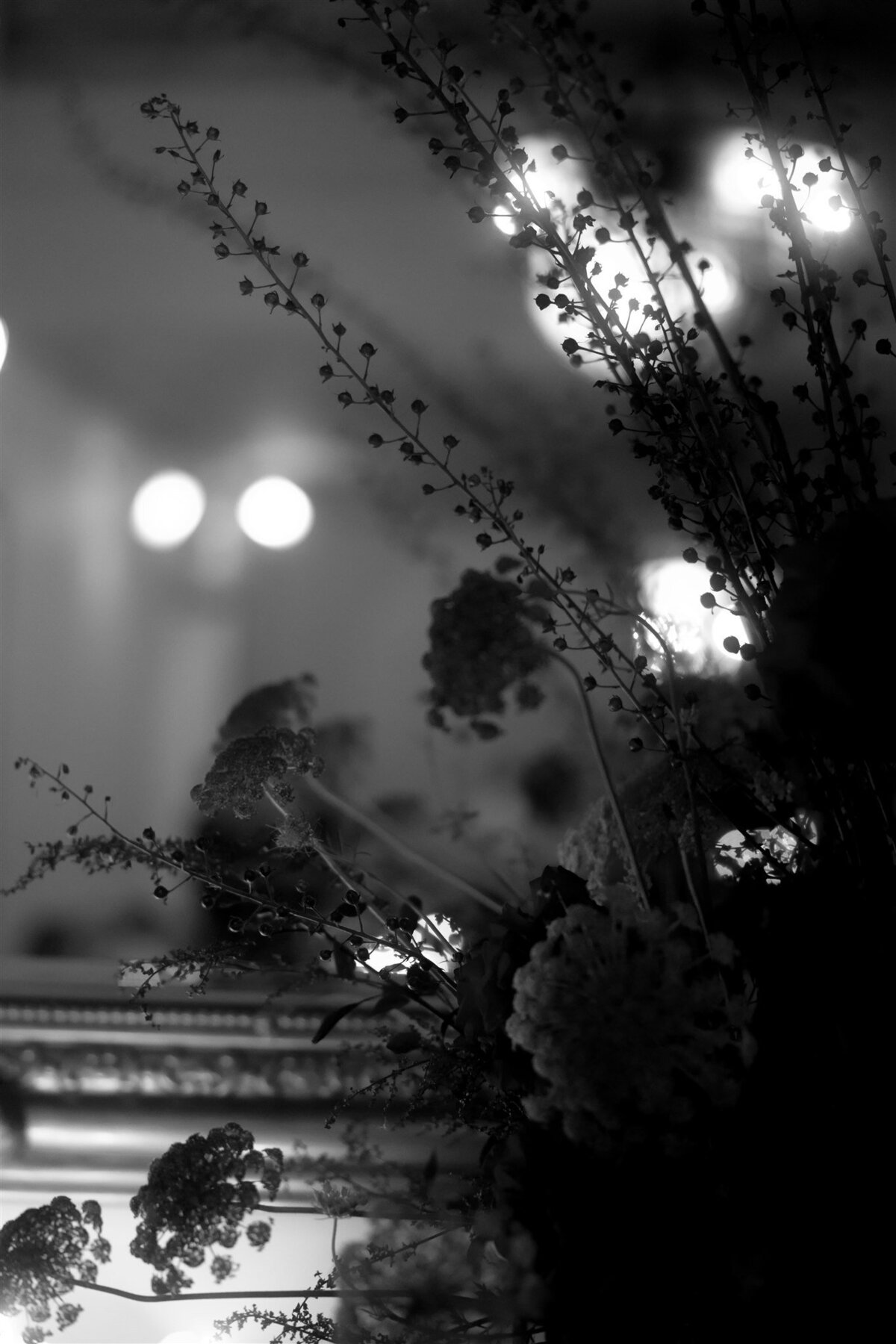 Maegan-Brown-Moments_20240120_Wedding_Stella-Julian_Botanical-Gardens_Sophia-Prahran-Arcade_3586