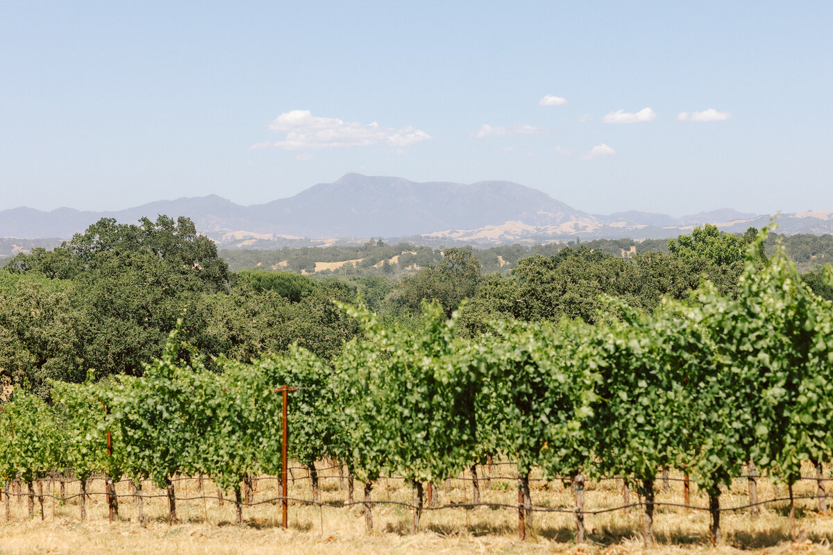 0431_gretchen_gause_photo_healdsburg_wedding_Arista_Winery_Little_Saint_2024-