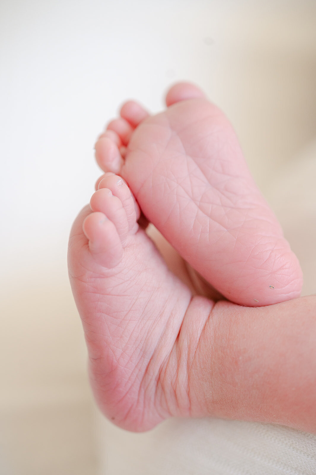 baby-brother-in-studio-lifestyle-newborn-photoshoot-hartford-CT_0055