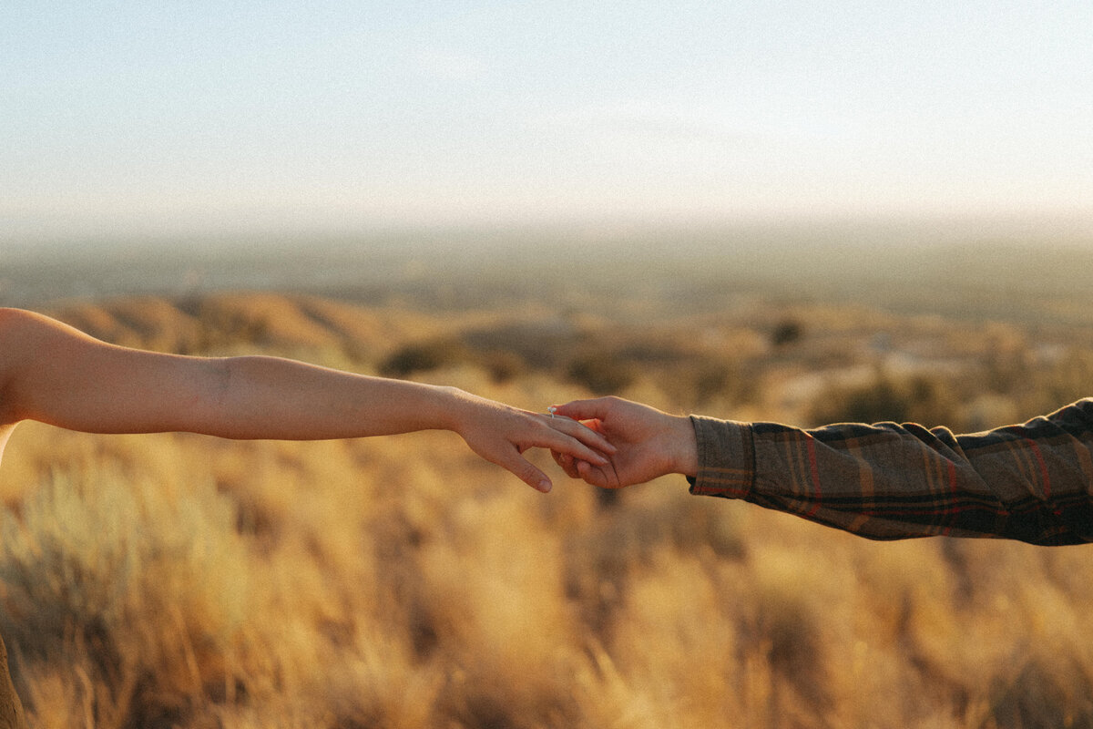 Couple during golden hour engagement shoot in Boise, Idaho wedding/elopement - photographed by The Storytellers