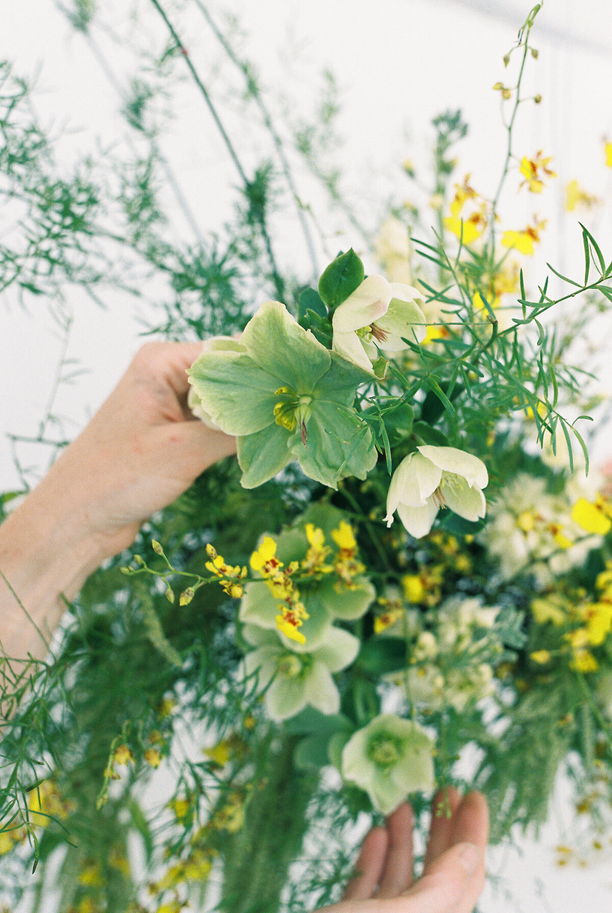 250427 Epsilon Floral_film-28