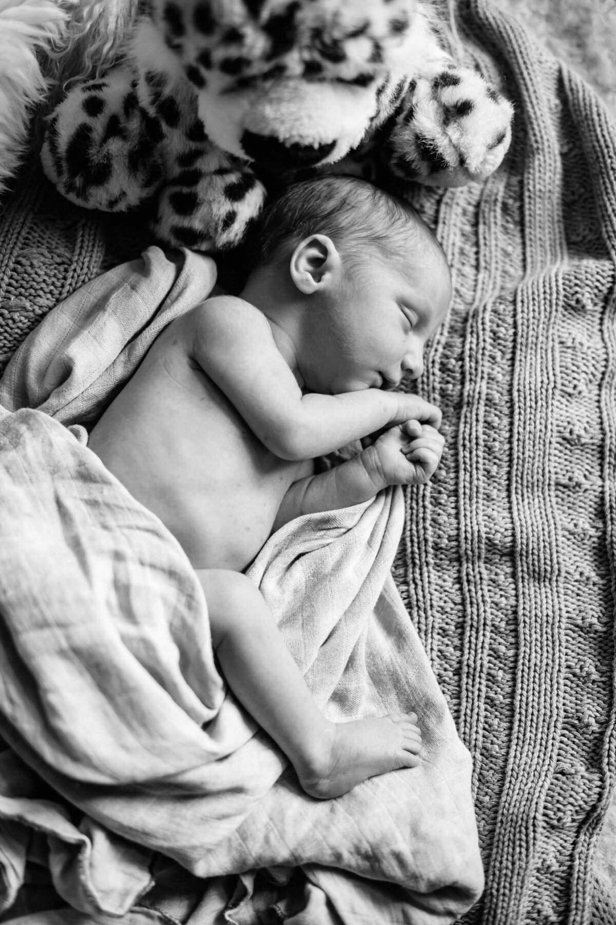 annie x babies bellies_053
