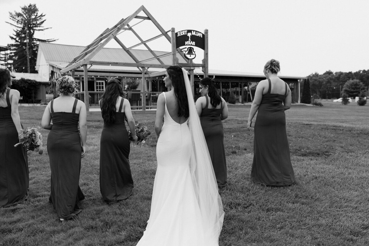 Toledo ohio wedding photographer 5812