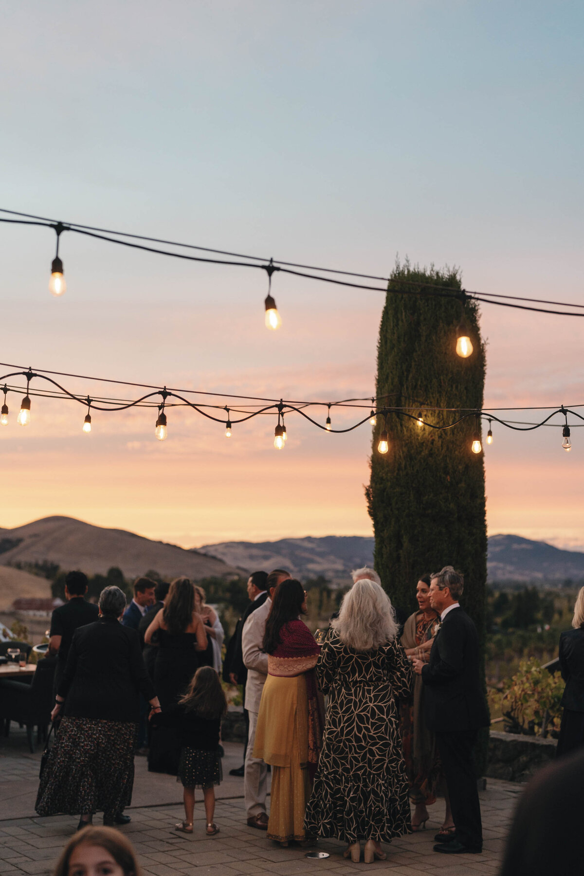Viansa-Sonoma-Wedding-92