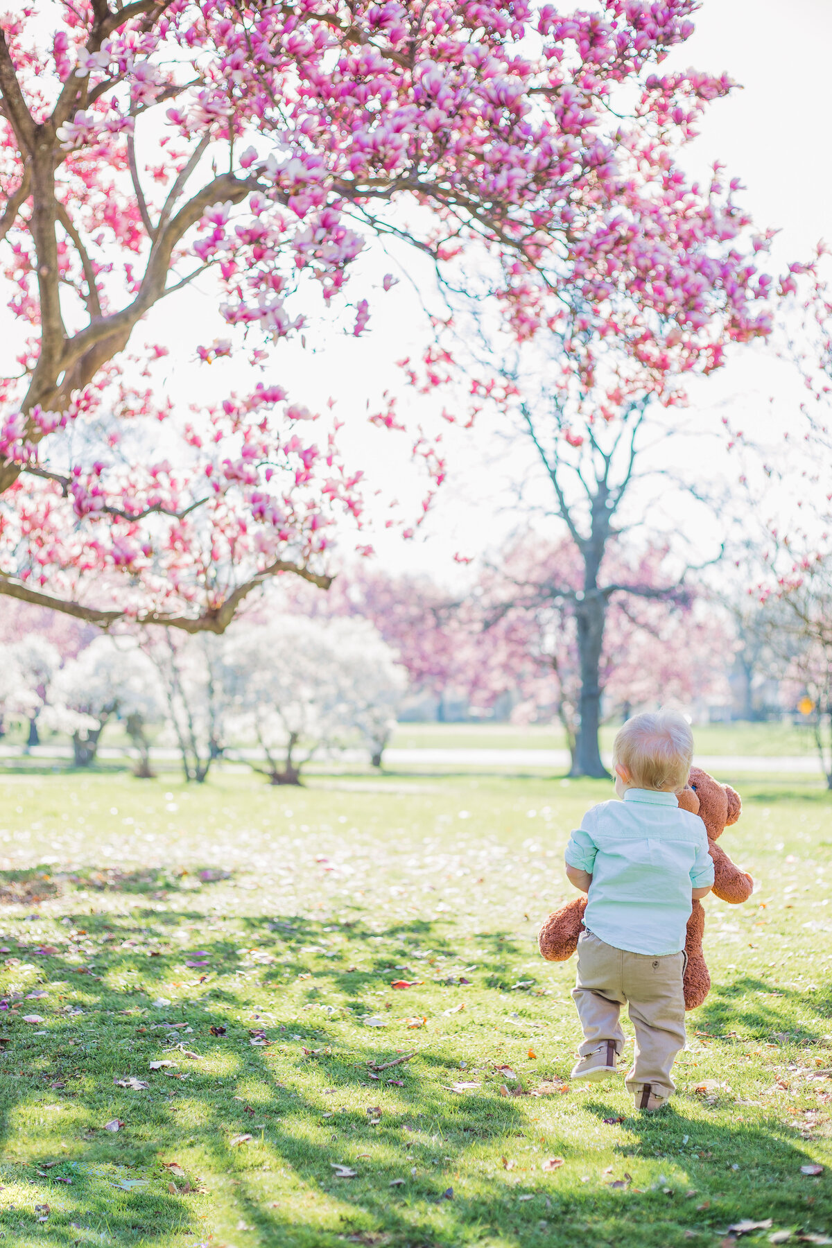 baby boy cherry blossoms