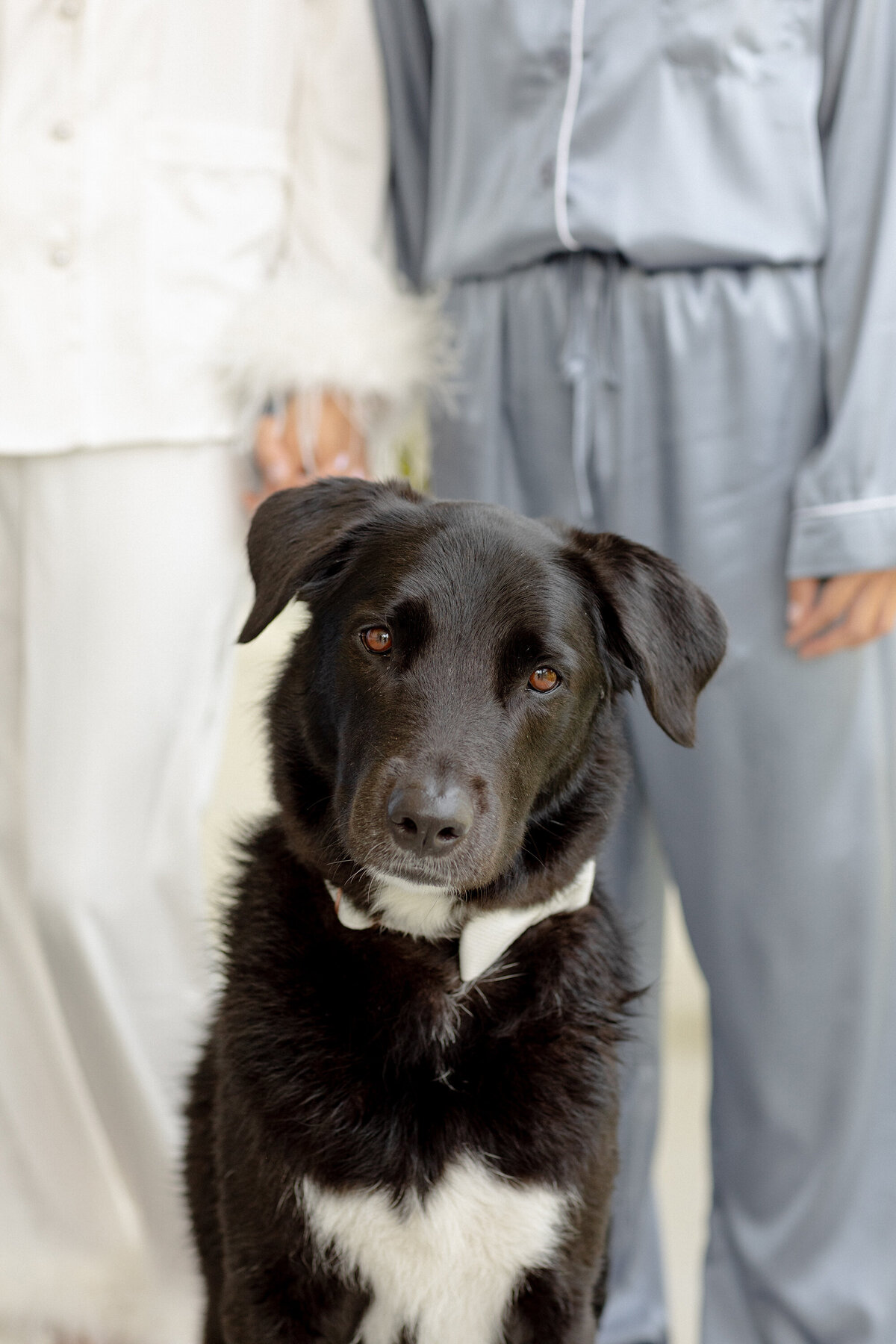 KateEdwardsWeddings_Lisa&Jacob_ValleyRockInn-7