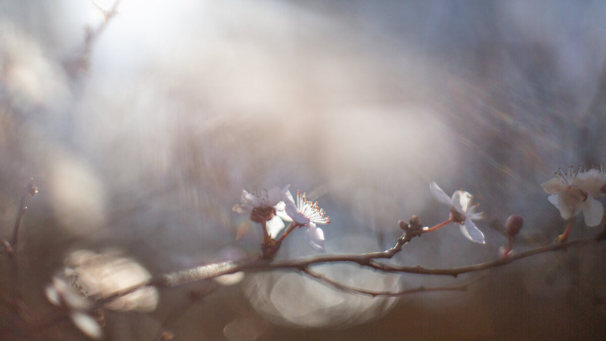 fine_art_photographer _067