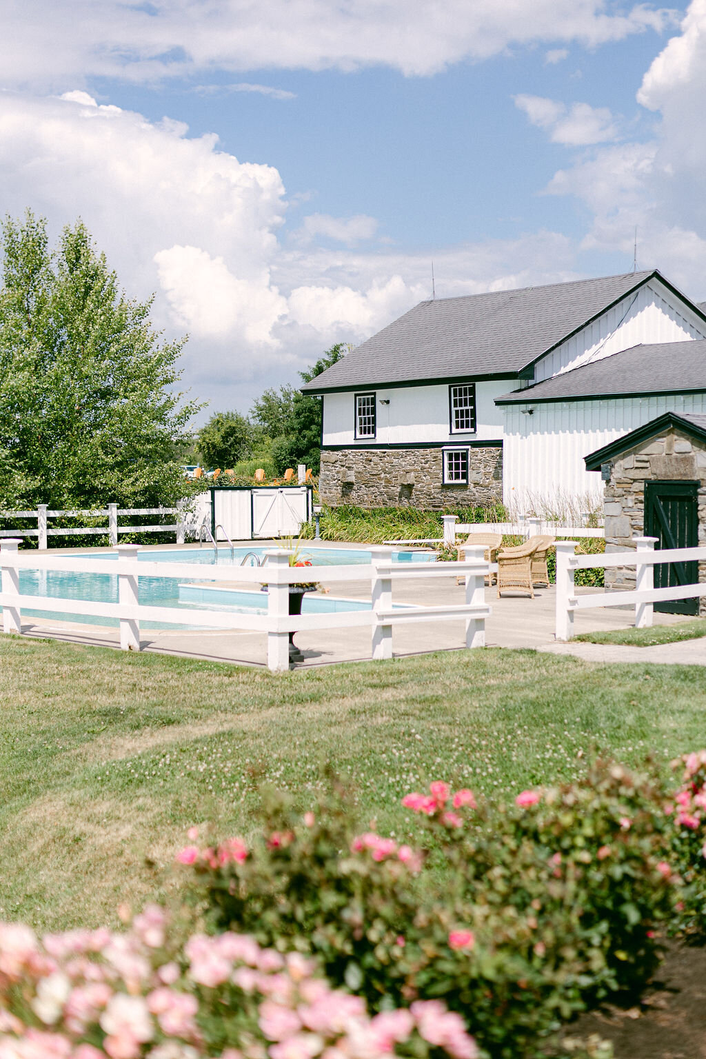 pink rose garden by white fenced pool and white and stone barn