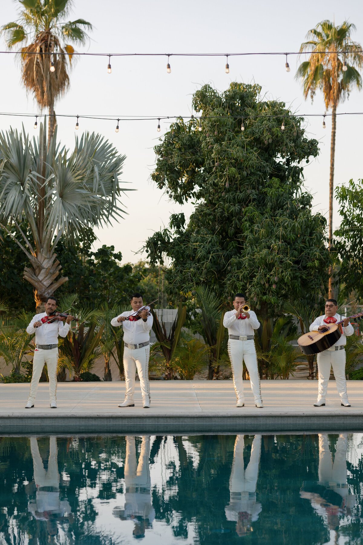 alyssa-simpson-baja-luna-cabo-wedding-roberts-reception-2