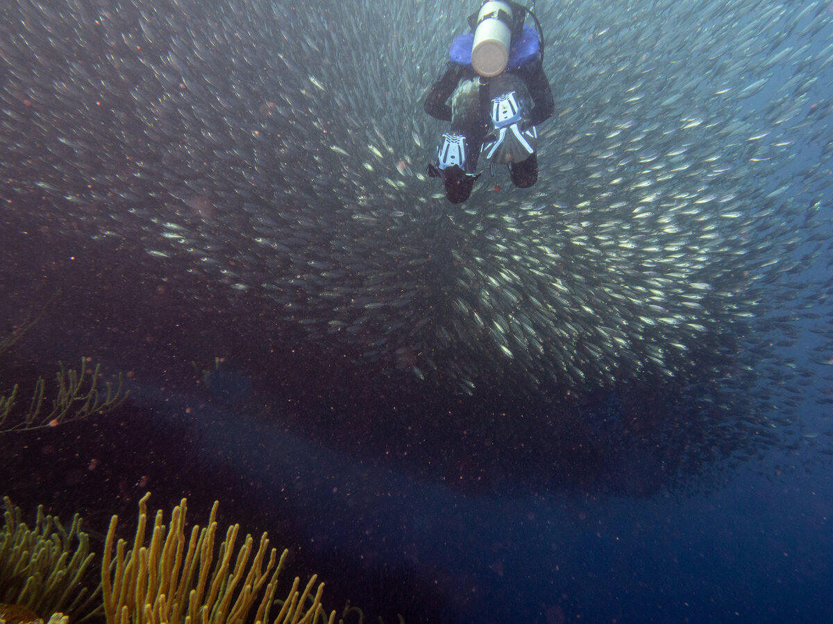 Bonaire_2024_-52