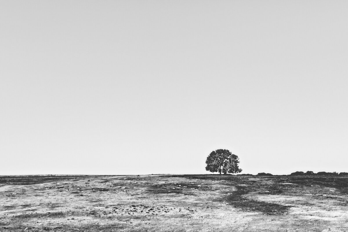 Black and white Nebraska Prairie Landscape photography