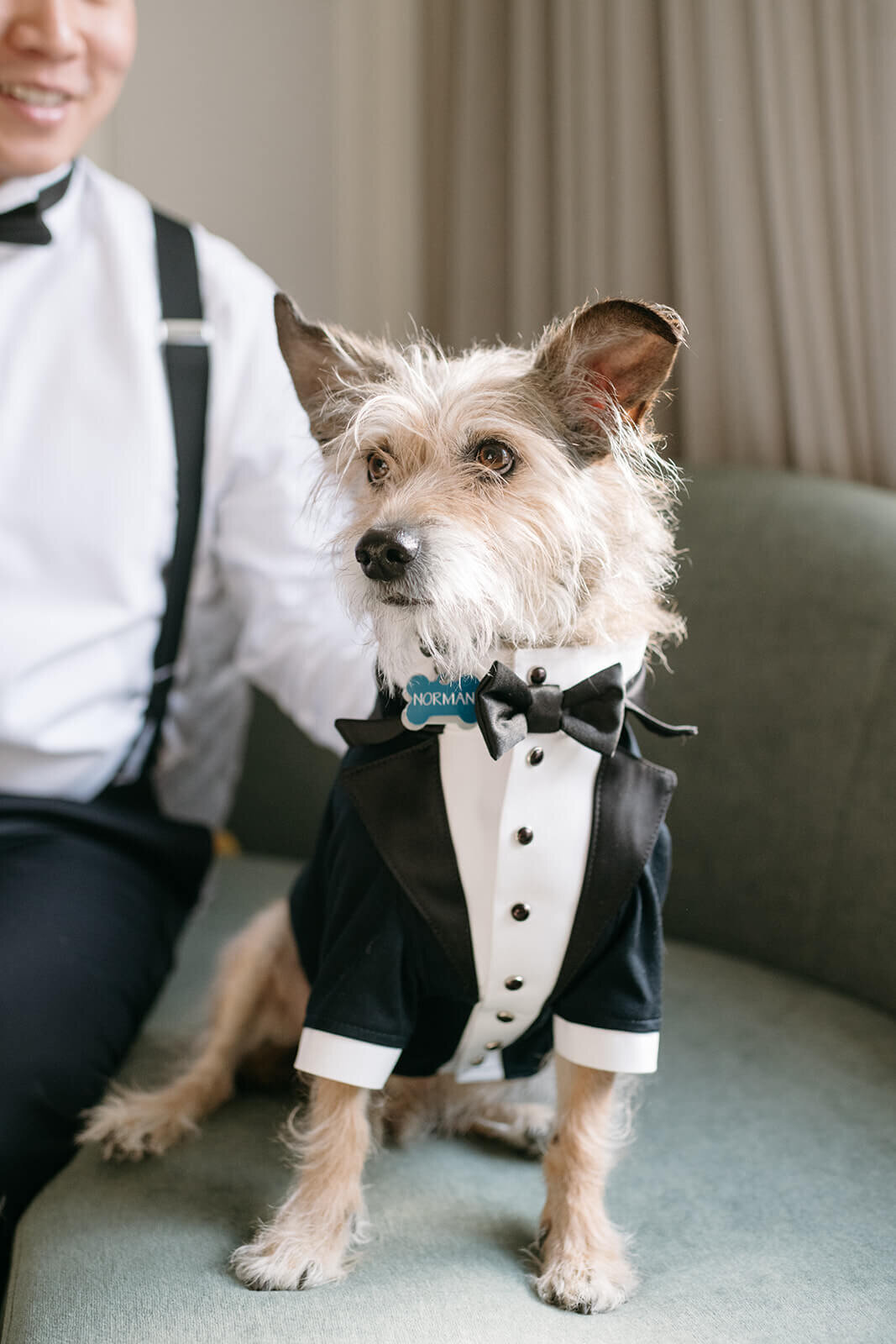 Bride getting ready at St. Regis Aspen with her dog, capturing a sweet moment in a sophisticated suite with elegant decor.