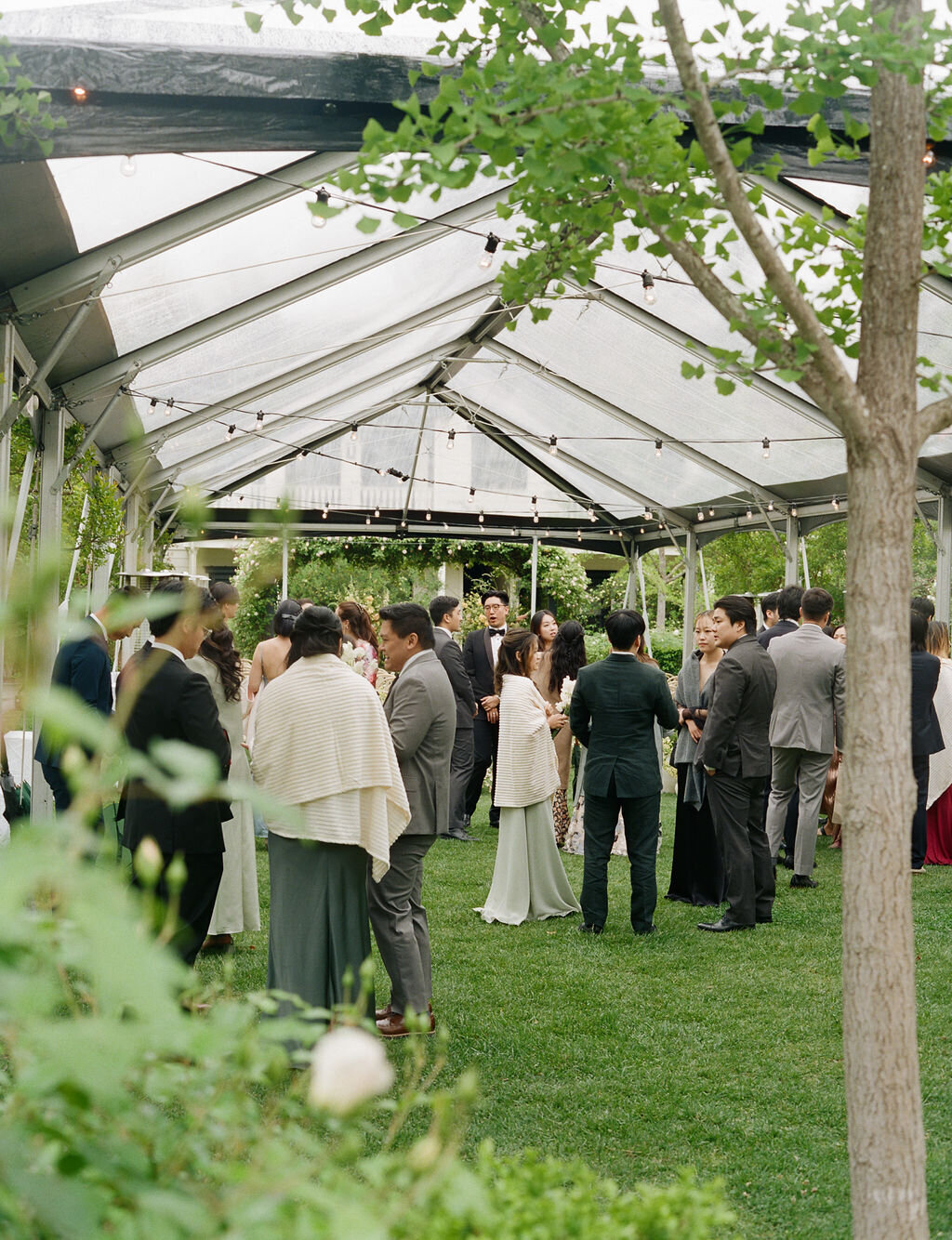 AnnaCalvin-Wed2025-522