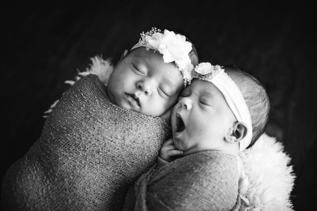 Newborn twin photography