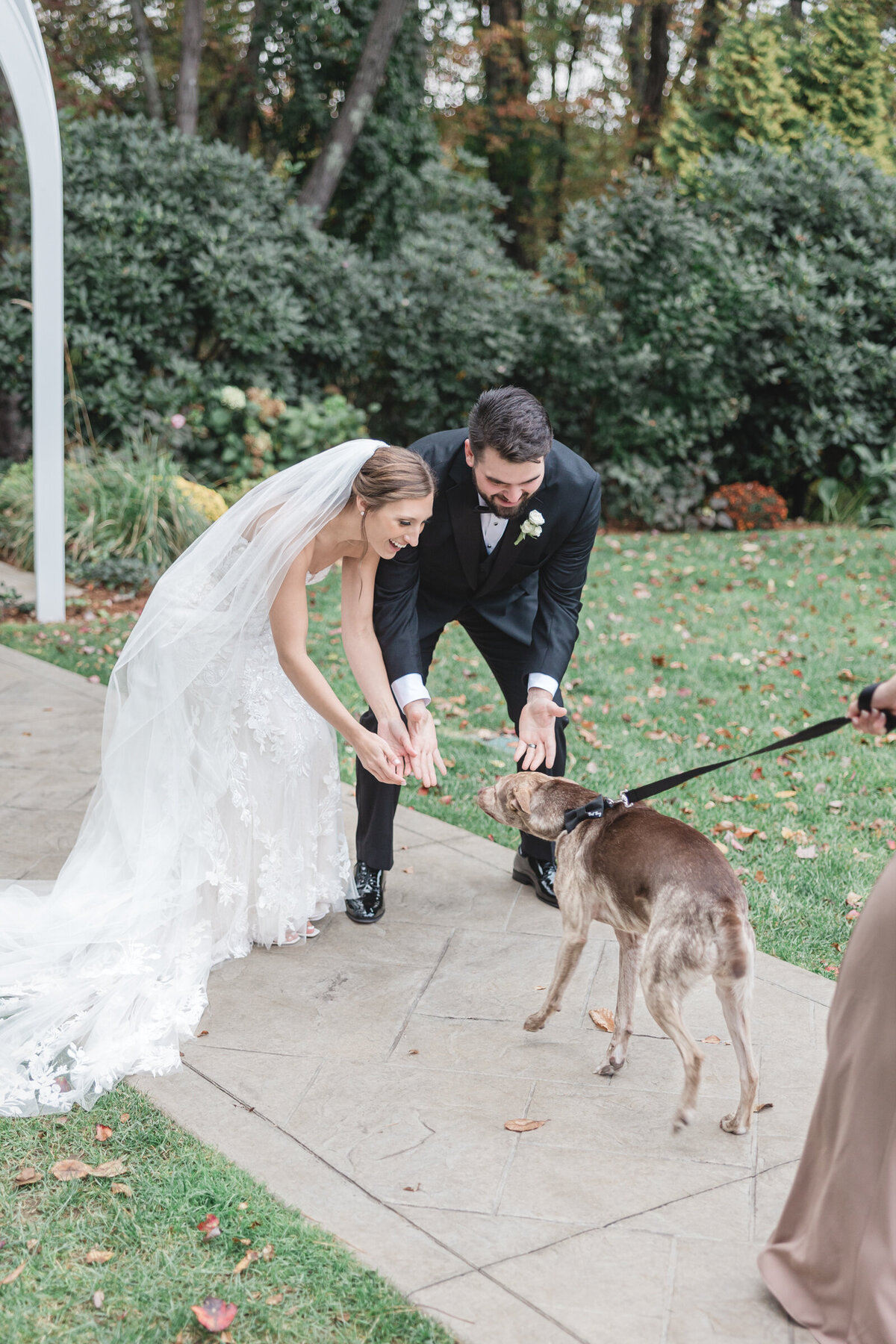 A bride and groom greet their beloved dog