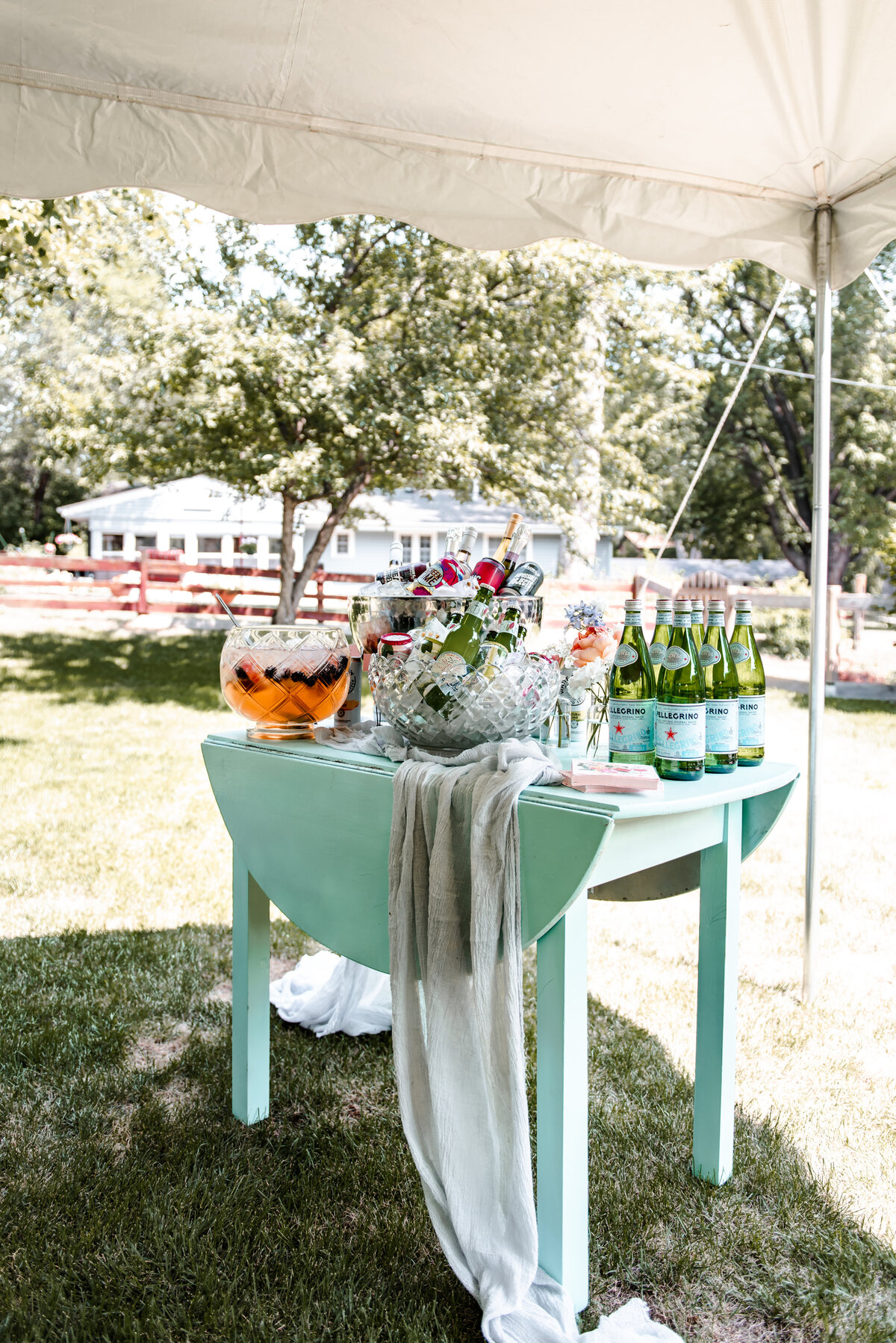 Devasco_s Daugthers Sage E Imagery Bridal Shower-45