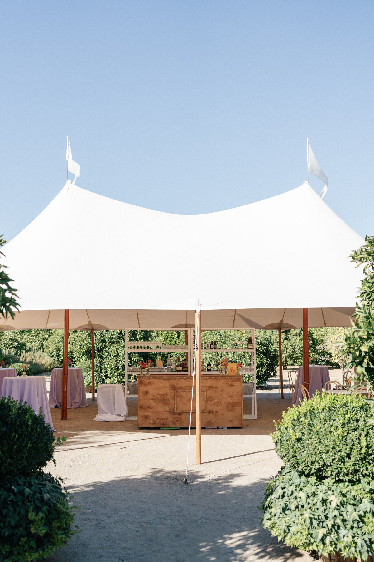 Olivia-Marshall-Bear-Flag-Farm-Wedding-15