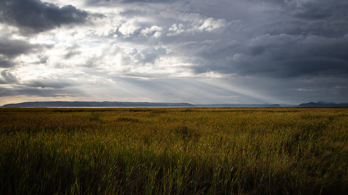 sun-beam-clouds-sea-grass