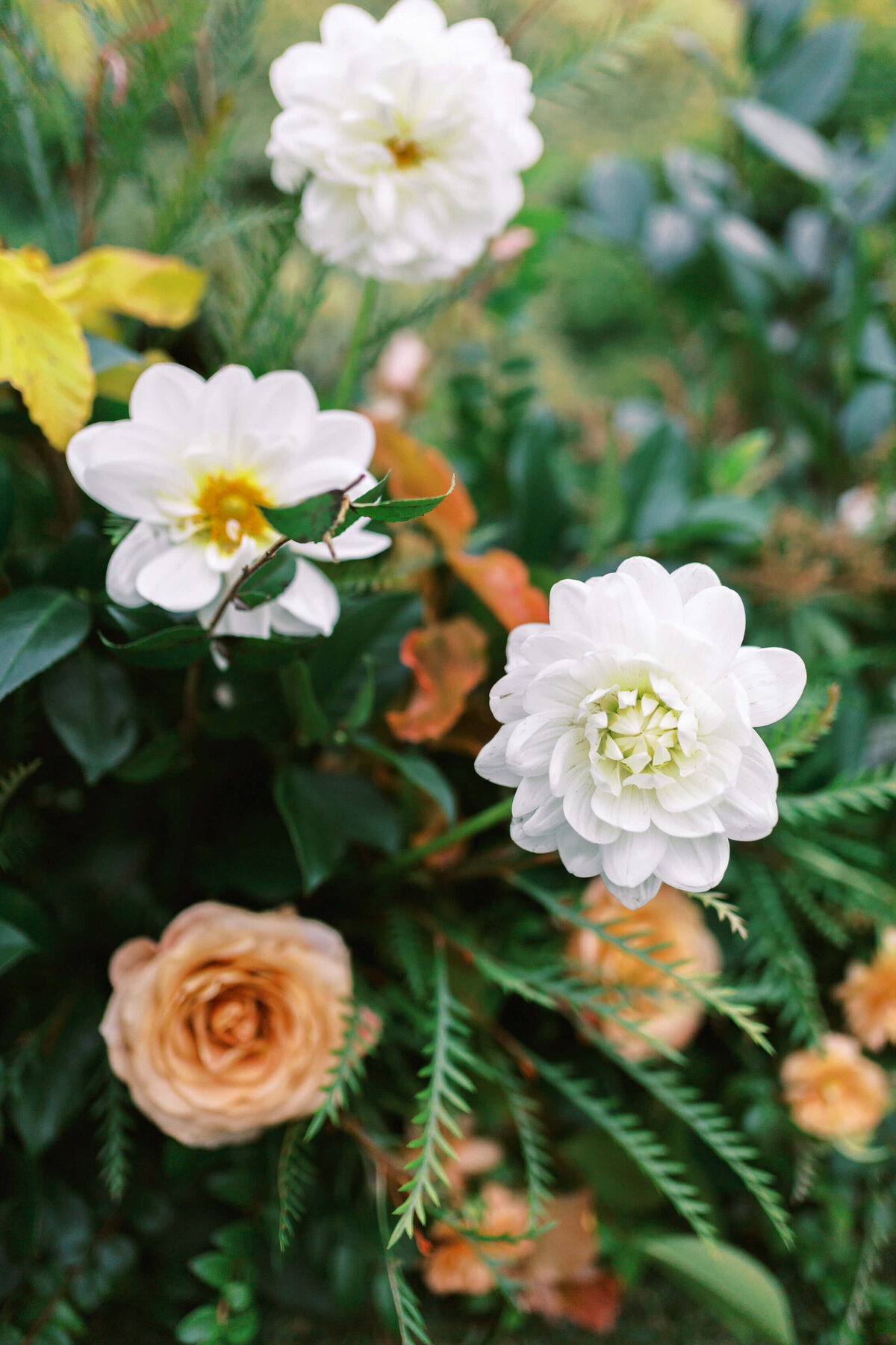 Villa-&-Vine-Wedding_Santa-Barbara-Wedding_Southern-California-Wedding-Photographer_Lisa-Leanne-Photography_52